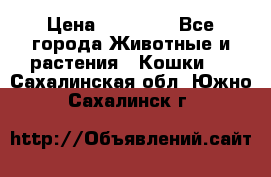 Zolton › Цена ­ 30 000 - Все города Животные и растения » Кошки   . Сахалинская обл.,Южно-Сахалинск г.